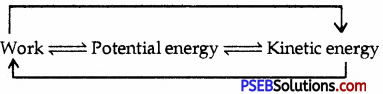 PSEB 9th Class Science Important Questions Chapter 11 Work and Energy 5