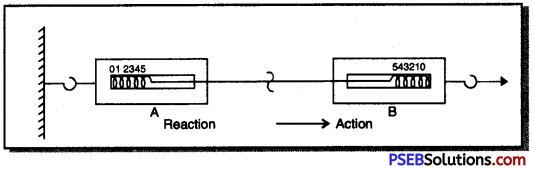 PSEB 9th Class Science Important Questions Chapter 9 Force and Laws of Motion 5