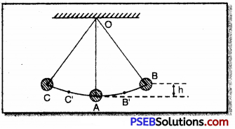 PSEB 9th Class Science Solutions Chapter 11 Work and Energy 5