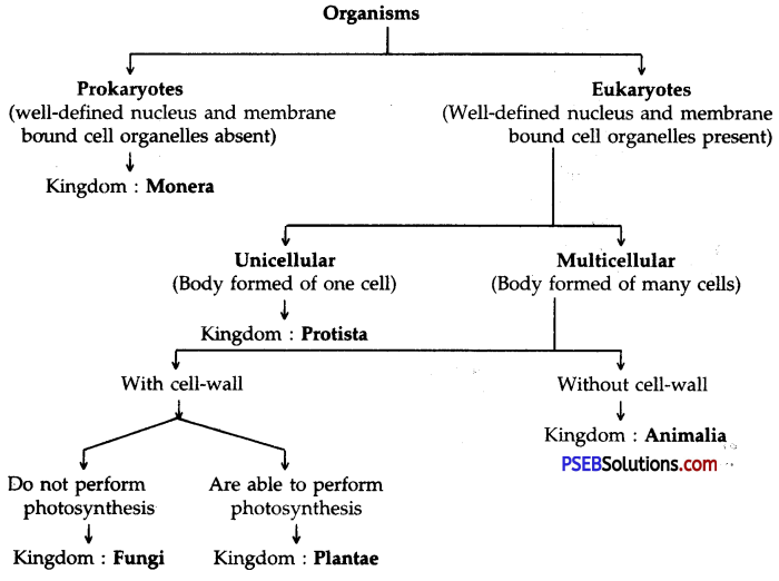 PSEB 9th Class Science Solutions Chapter 7 Diversity in Living Organisms 3