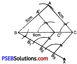 PSEB 10th Class Maths Solutions Chapter 11 Constructions Ex 11.1 3