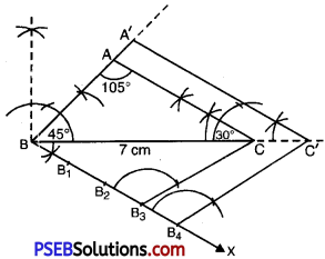 PSEB 10th Class Maths Solutions Chapter 11 Constructions Ex 11.1 7