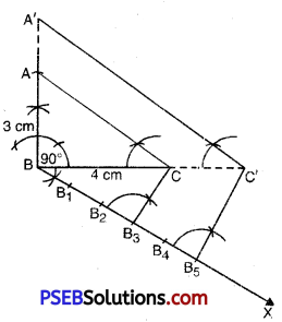 PSEB 10th Class Maths Solutions Chapter 11 Constructions Ex 11.1 8