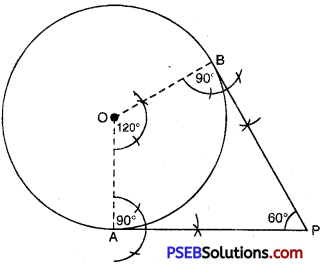 PSEB 10th Class Maths Solutions Chapter 11 Constructions Ex 11.2 5