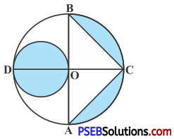PSEB 10th Class Maths Solutions Chapter 12 Areas Related to Circles Ex 12.3 11