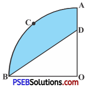 PSEB 10th Class Maths Solutions Chapter 12 Areas Related to Circles Ex 12.3 15