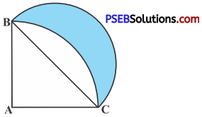 PSEB 10th Class Maths Solutions Chapter 12 Areas Related to Circles Ex 12.3 20
