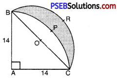 PSEB 10th Class Maths Solutions Chapter 12 Areas Related to Circles Ex 12.3 21