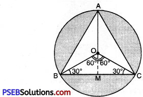 PSEB 10th Class Maths Solutions Chapter 12 Areas Related to Circles Ex 12.3 7