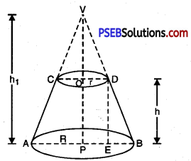 PSEB 10th Class Maths Solutions Chapter 13 Surface Areas and Volumes Ex 13.5 5