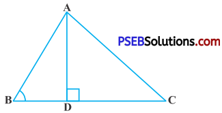 PSEB 10th Class Maths Solutions Chapter 6 Triangles Ex 6.6 6
