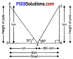 PSEB 10th Class Maths Solutions Chapter 9 Some Applications of Trigonometry Ex 9.1 12
