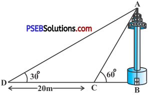 PSEB 10th Class Maths Solutions Chapter 9 Some Applications of Trigonometry Ex 9.1 13