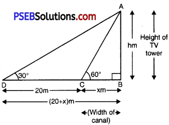 PSEB 10th Class Maths Solutions Chapter 9 Some Applications of Trigonometry Ex 9.1 14