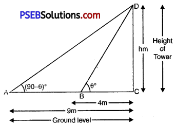 PSEB 10th Class Maths Solutions Chapter 9 Some Applications of Trigonometry Ex 9.1 21