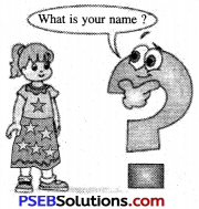 PSEB 6th Class English Grammar Pronouns 4