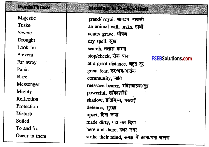 PSEB 6th Class English Solutions Chapter 2 The Lake of the Moon 11
