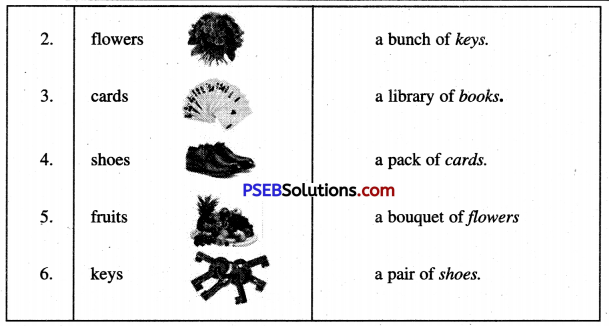 PSEB 6th Class English Solutions Chapter 2 The Lake of the Moon 3