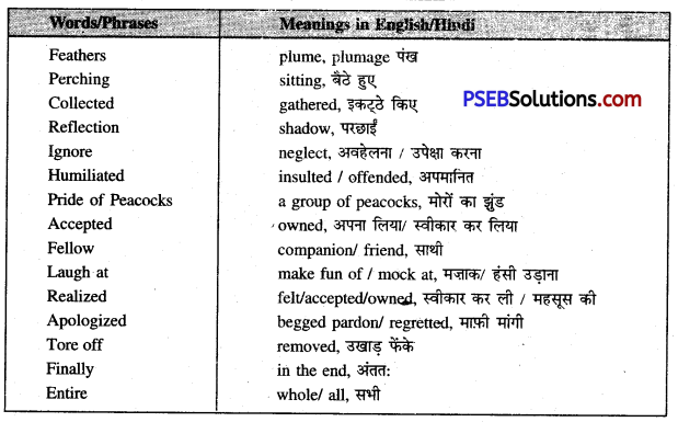 PSEB 6th Class English Solutions Chapter 4 The Peacock and the Crow 6