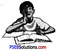 PSEB 6th Class English Vocabulary Punctuation 5