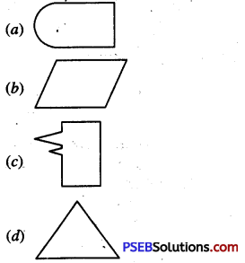 PSEB 6th Class Maths MCQ Chapter 8 Basic Geometrical Concepts 3