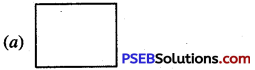 PSEB 6th Class Maths MCQ Chapter 8 Basic Geometrical Concepts 6