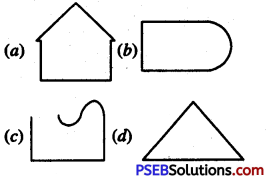 PSEB 6th Class Maths MCQ Chapter 8 Basic Geometrical Concepts 9