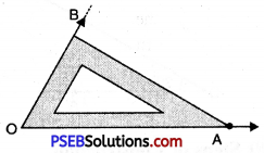 PSEB 6th Class Maths Solutions Chapter 10 Practical Geometry Ex 10.1 8