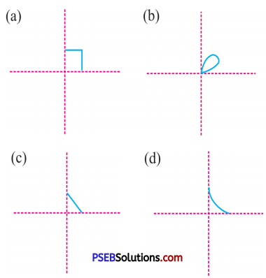 PSEB 6th Class Maths Solutions Chapter 13 Symmetry Ex 13.1 10