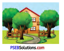 PSEB 7th Class English Solutions Poem 3 An Earthquake 3