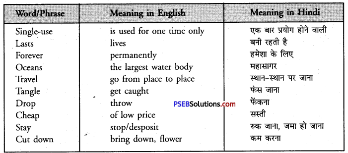 PSEB 8th Class English Solutions Safety Chapter 7 Safety While Driving 6