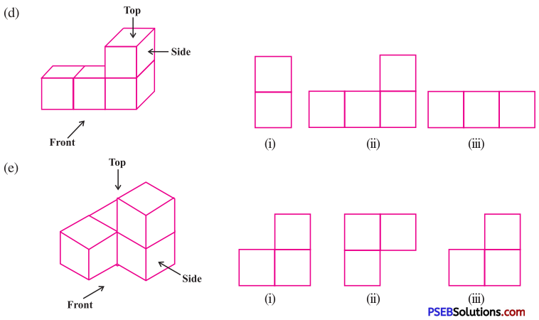 PSEB 8th Class Maths Solutions Chapter 10 Visualising Solid Shapes Ex 10.1 6