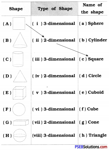 PSEB 8th Class Maths Solutions Chapter 10 Visualising Solid Shapes InText Questions 1