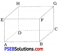 PSEB 8th Class Maths Solutions Chapter 10 Visualising Solid Shapes InText Questions 4