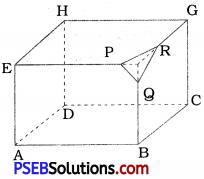 PSEB 8th Class Maths Solutions Chapter 10 Visualising Solid Shapes InText Questions 5