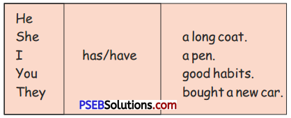 PSEB 5th Class English Solutions Chapter 3 Child and Grandma 7