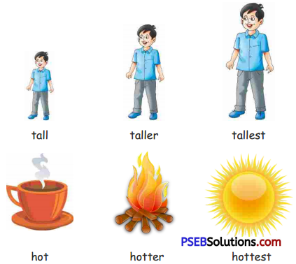 PSEB 5th Class English Solutions Chapter 7 Global Warming 6