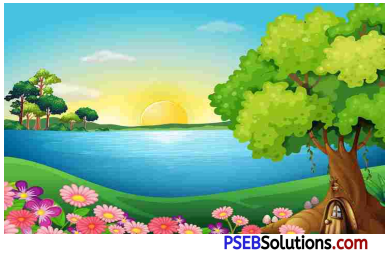 PSEB 5th Class English Solutions Chapter 7 Global Warming 8