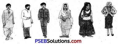 PSEB 5th Class Hindi Solutions Chapter 20 भूल गया है क्यों इंसान 1