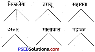 PSEB 5th Class Hindi Solutions Chapter 6 हाथी कैसे तोला गया 2