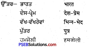 PSEB 5th Class Punjabi Solutions Chapter 1 ਸਾਡਾ ਦੇਸ ਮਹਾਨ 3