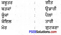 PSEB 5th Class Punjabi Solutions Chapter 11 ਪੰਛੀਆਂ ਦਾ ਗੀਤ 1
