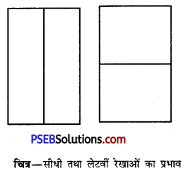 PSEB 10th Class Home Science Solutions Chapter 4 डिज़ाइन के मूल तत्त्व और सिद्धान्त 5