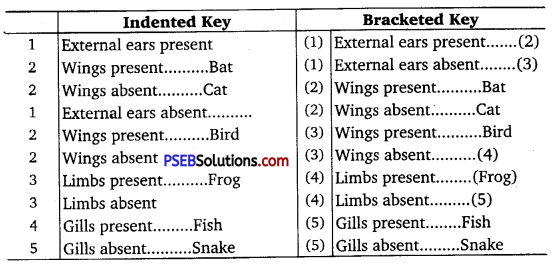 PSEB 11th Class Biology Solutions Chapter 1 The Living World 2