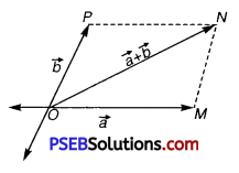 PSEB 11th Class Physics Solutions Chapter 4 Motion in a Plane 2