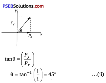 PSEB 11th Class Physics Solutions Chapter 4 Motion in a Plane 24