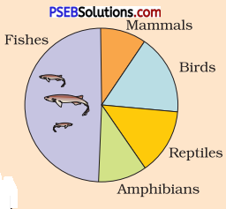 PSEB 12th Class Biology Important Questions Chapter 15 Biodiversity and Conservation 1