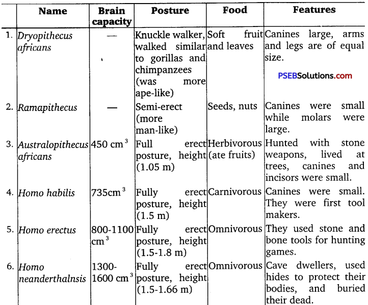 PSEB 12th Class Biology Solutions Chapter 7 Evolution 1