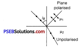 PSEB 12th Class Physics Important Questions Chapter 10 Wave Optics 4