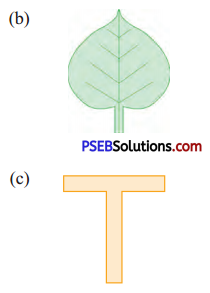 PSEB 4th Class Maths Solutions Chapter 10 ਨਮੂਨੇ Ex 10.1 32
